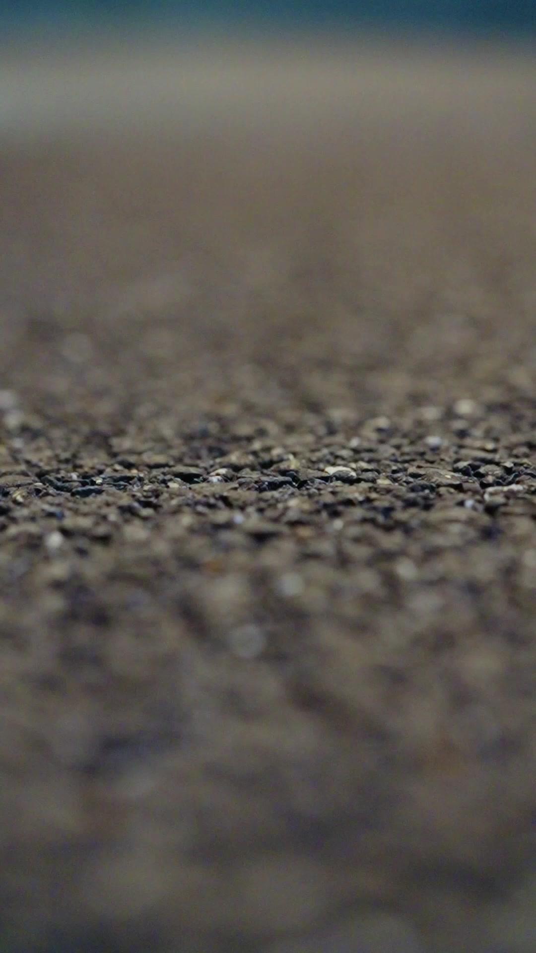 Forced to Marry My CEO