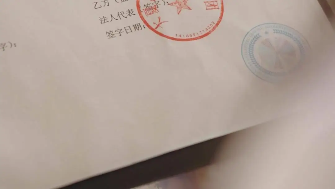 Yellow Vest, Bloody Cheek, Silent Truth