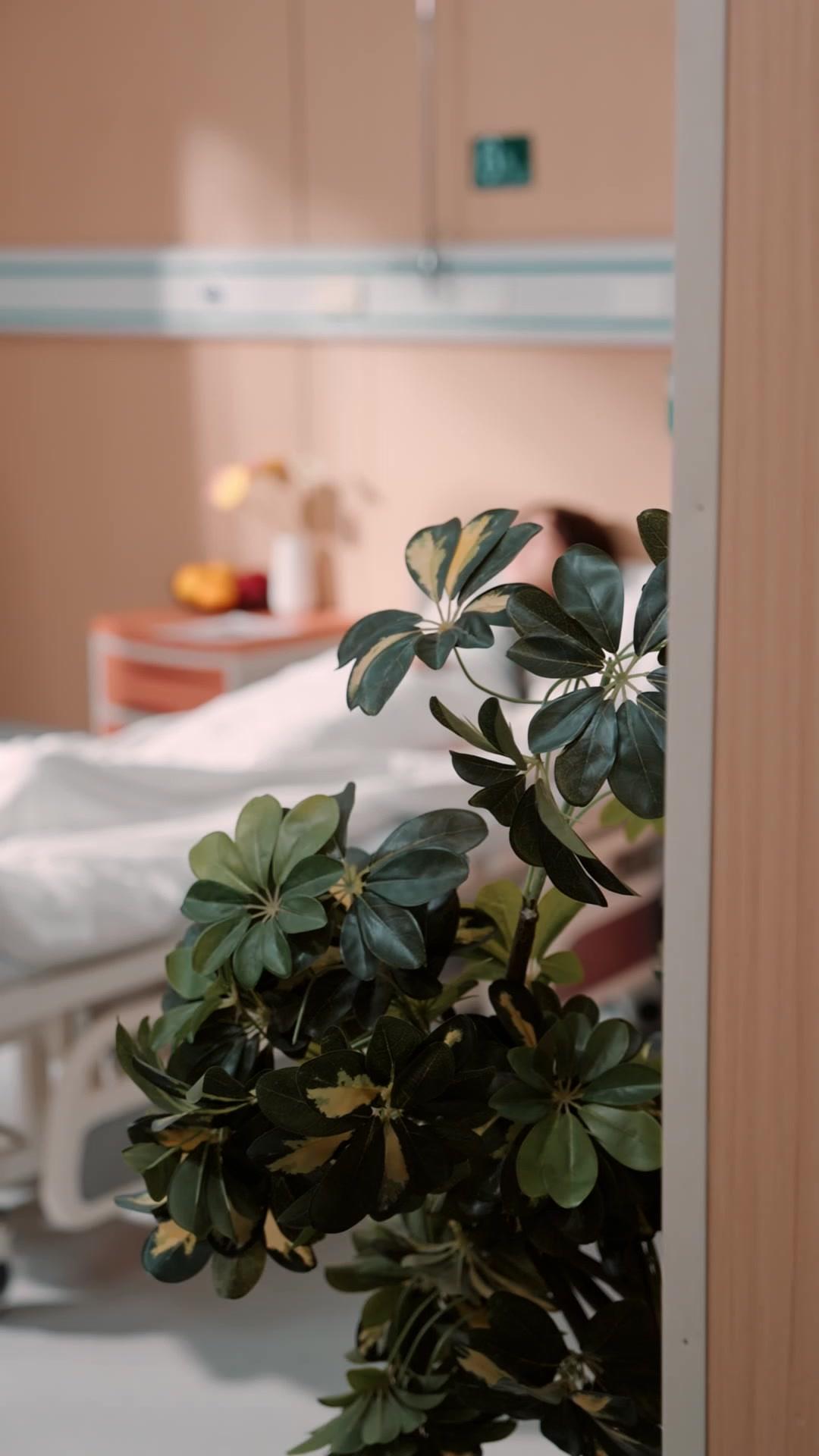 Nữ Chủ Tưởng Gia