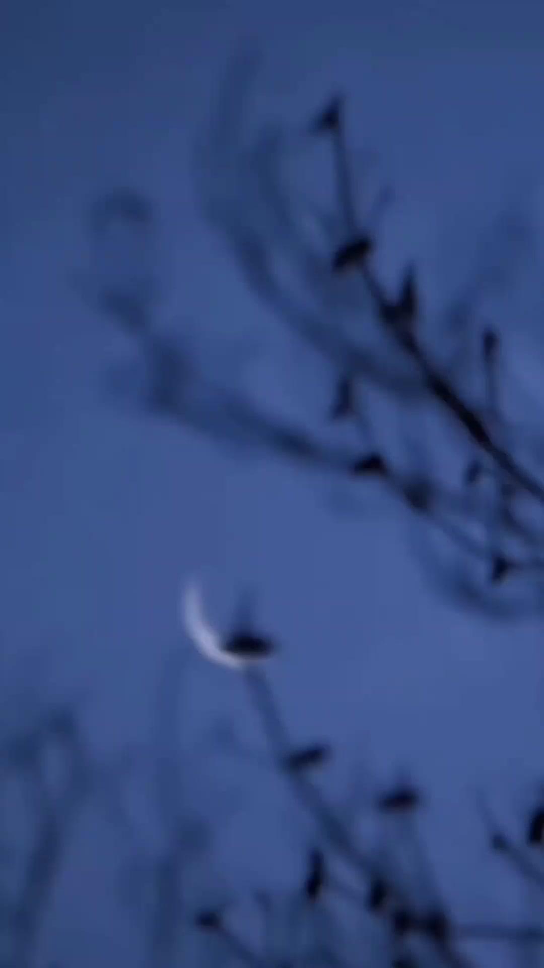 (Dublajlı)Yükselen Zafer