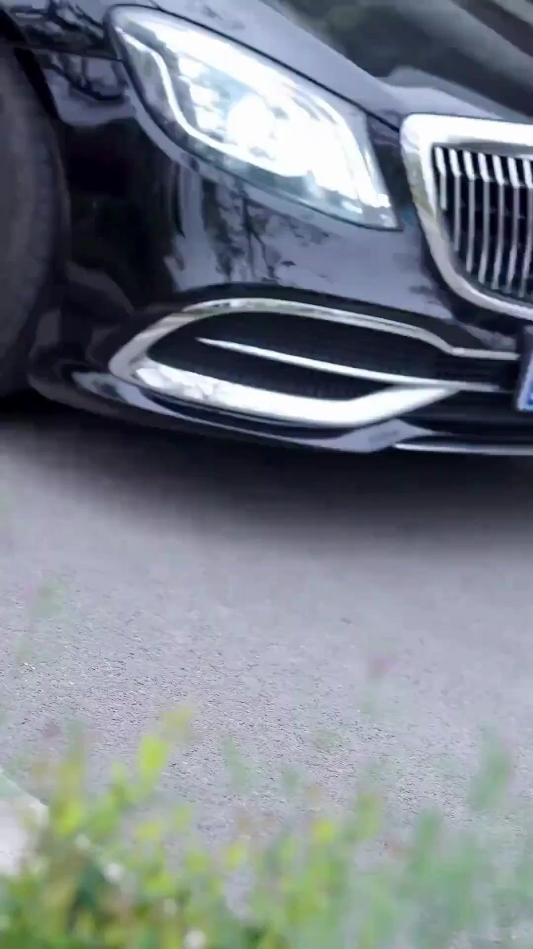 (Doblado) Papá Lobo Regresó