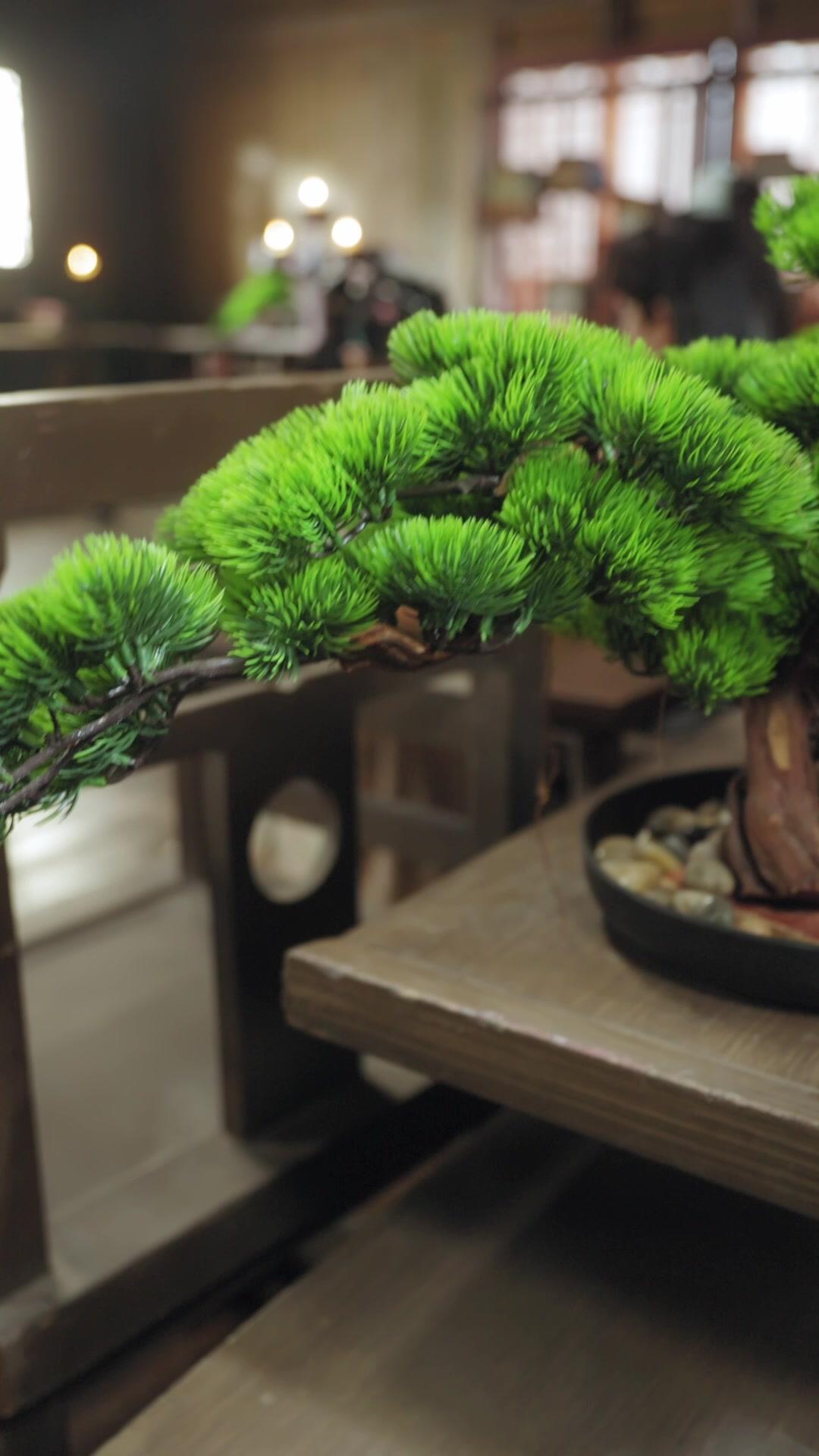 Mi camino de transformación tras renacer