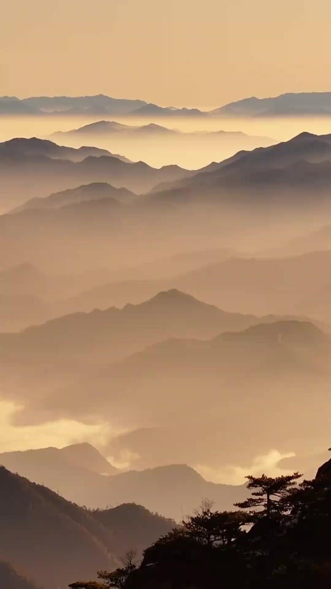 Đảo Loạn Giang Hồ