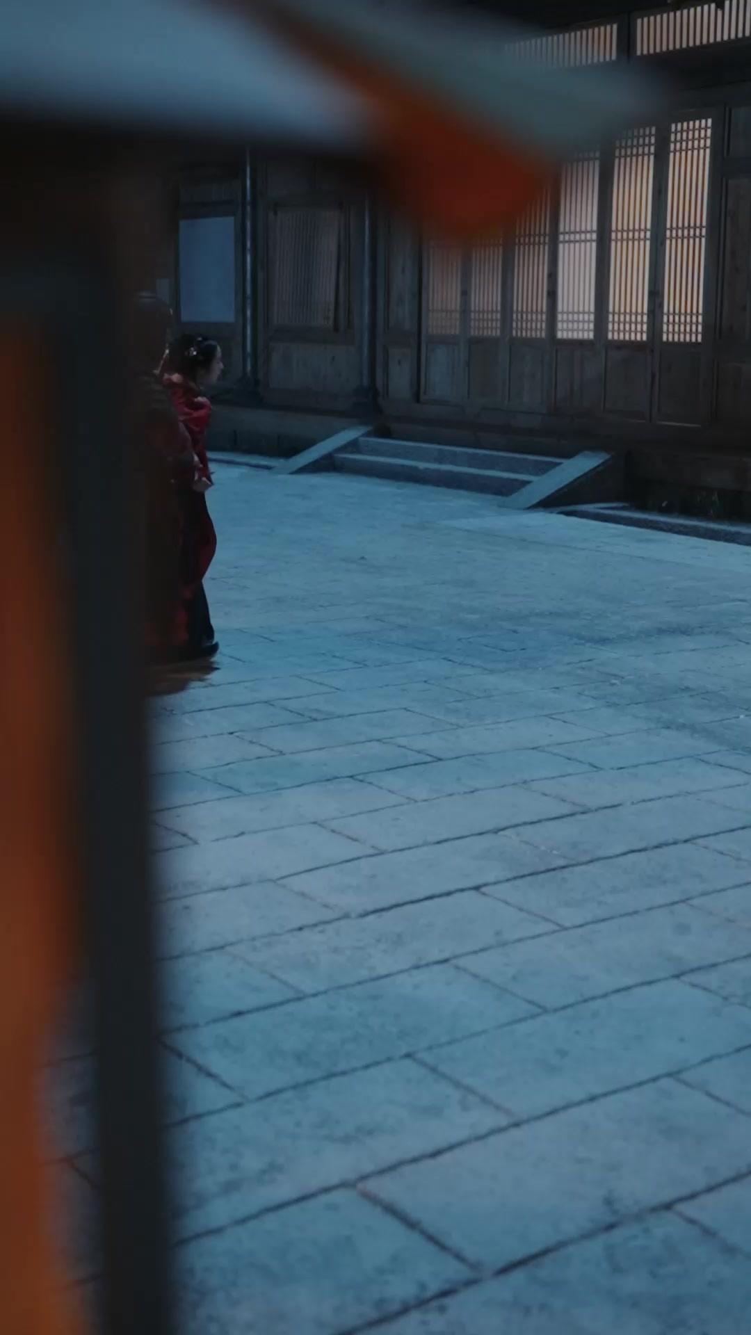 風華昭月：重生擇君錄