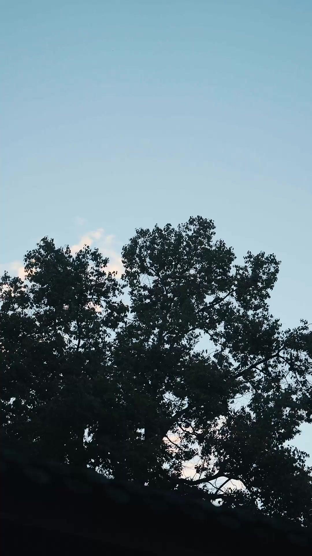 The Grandma Everyone Kneels To