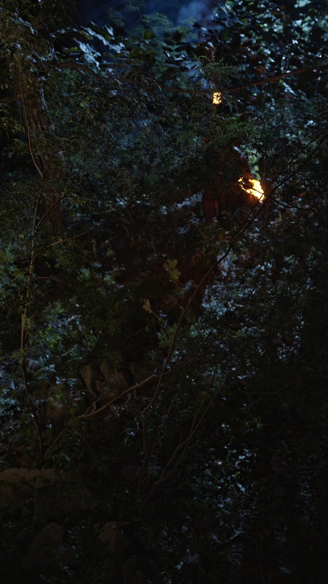 哀牢山驚魂人面熊