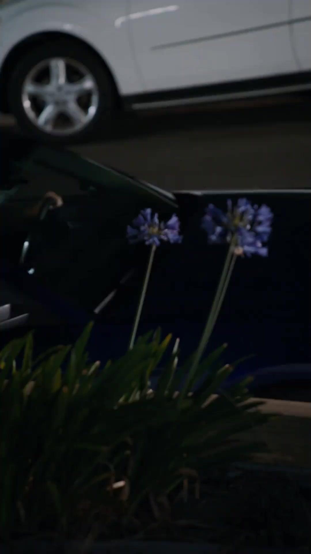 Herzensmatch – Noch einmal wir