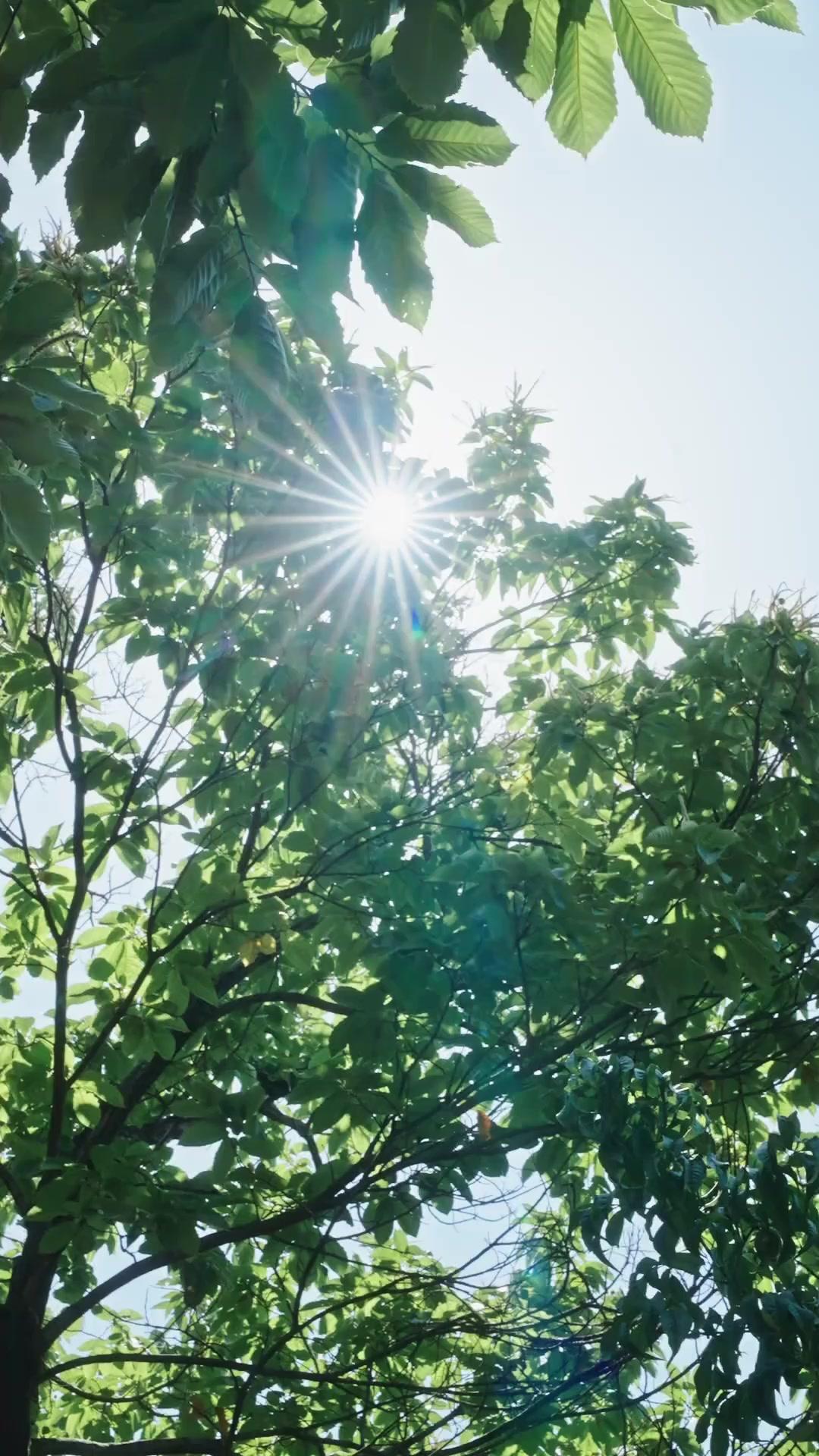 Reborn and Become a Billionaire's Wife