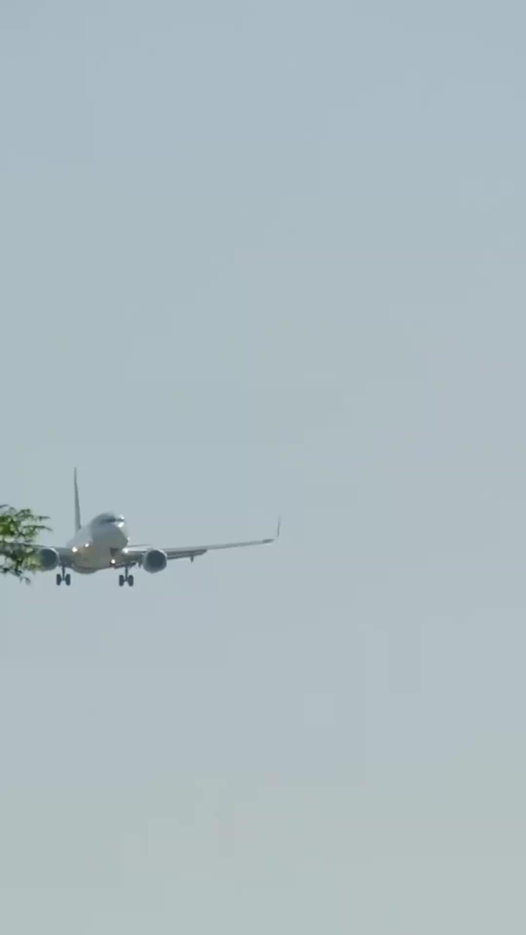 (Dubbed)I Divorced, I Shine Brighter!