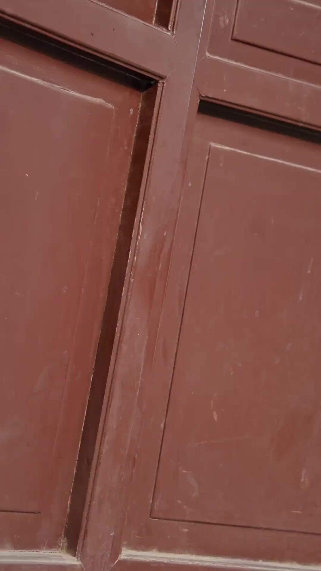 Güzel Prenses ve Kurt Kralı