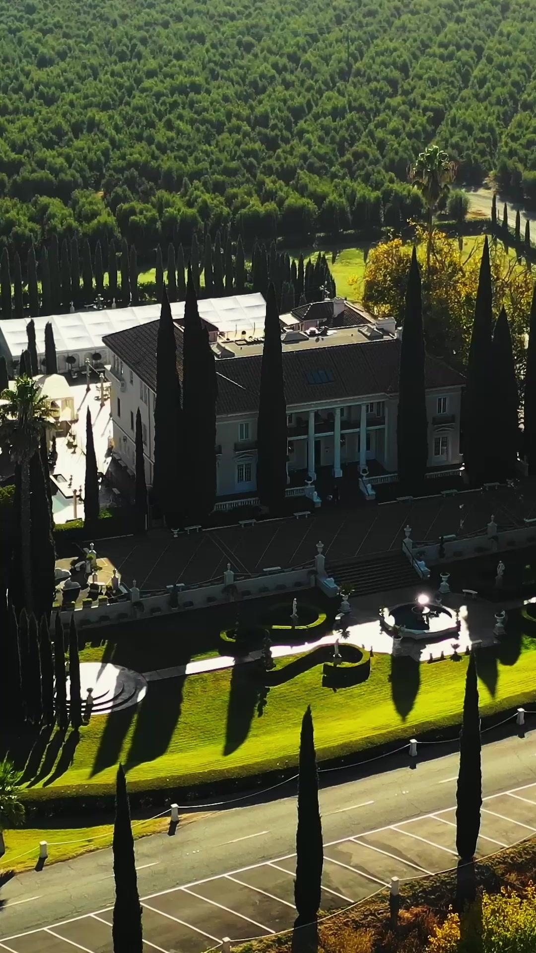 Fix Him: My Patient Is The Don