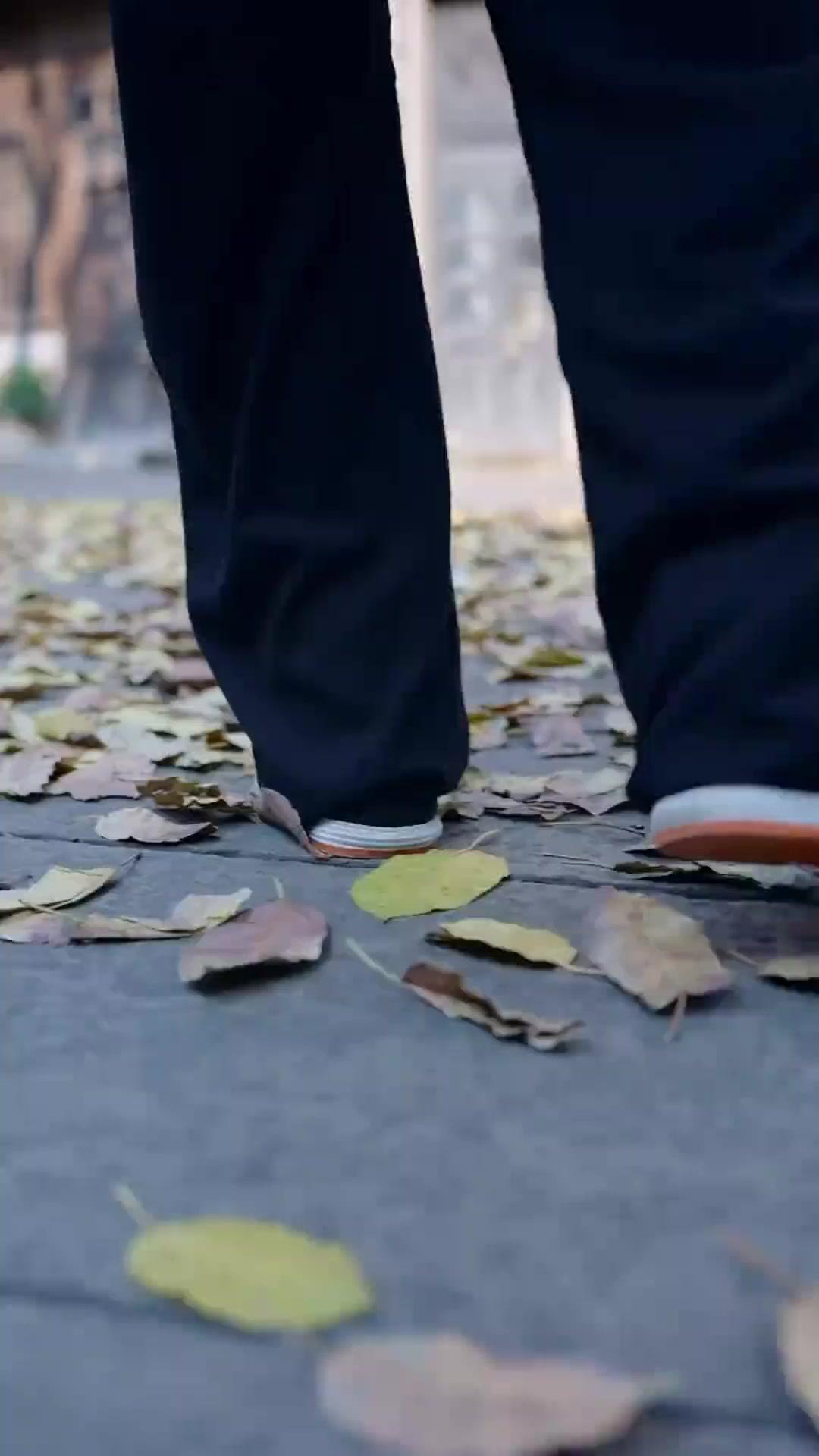 칠세기재 임요요