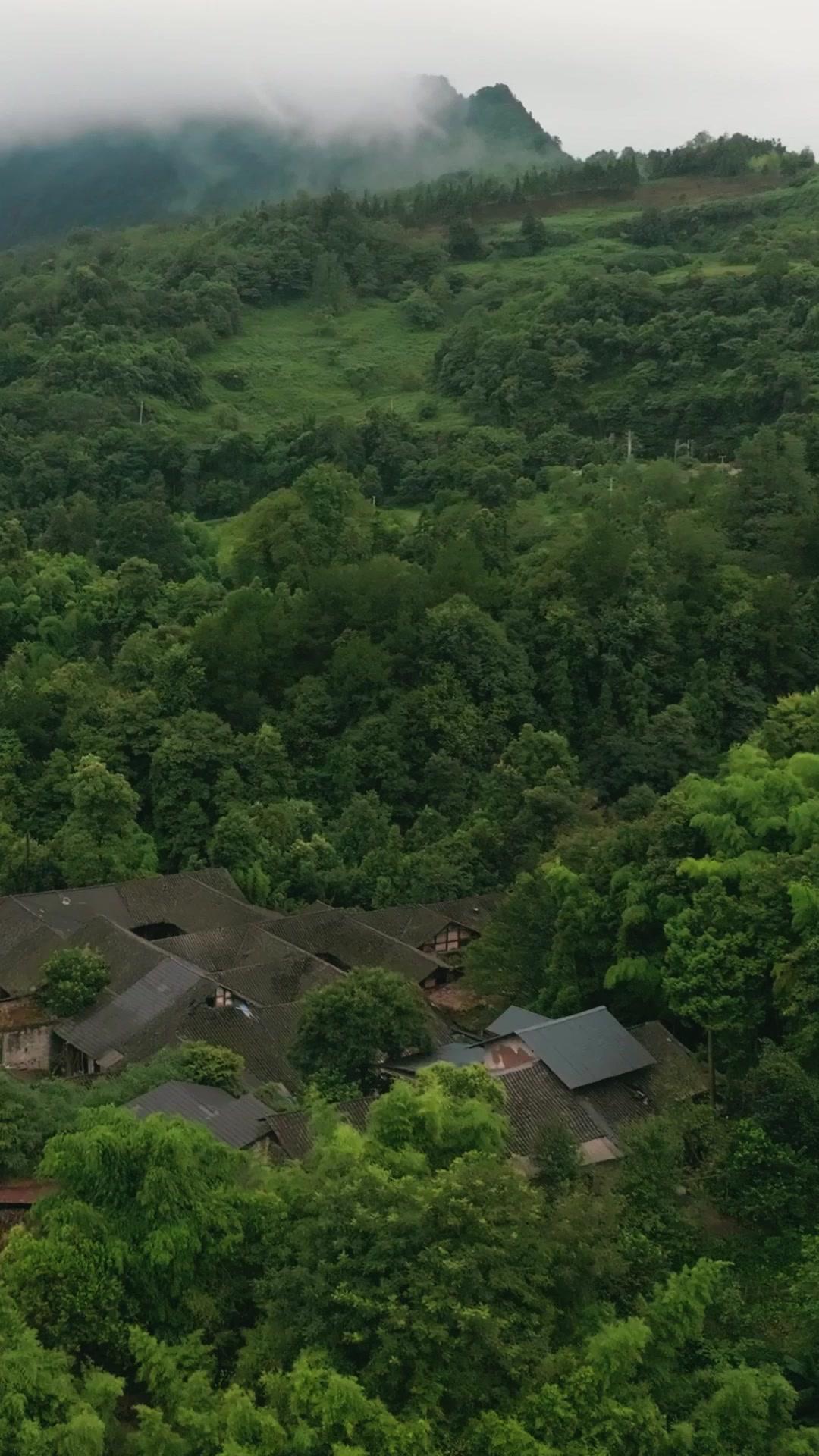 Fists of Steel, Heart of Flames