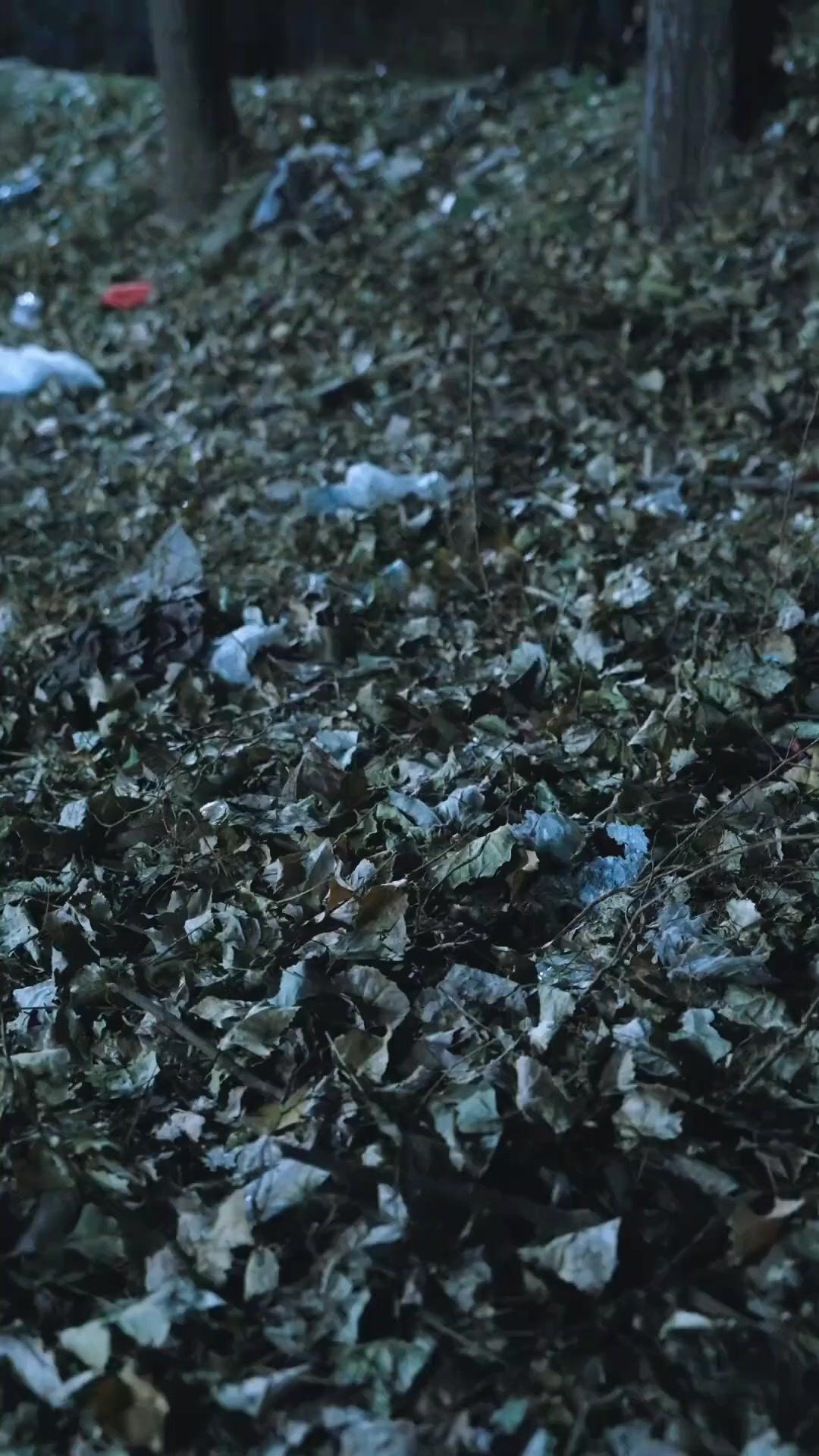 عودة القمة: لا يُقهر