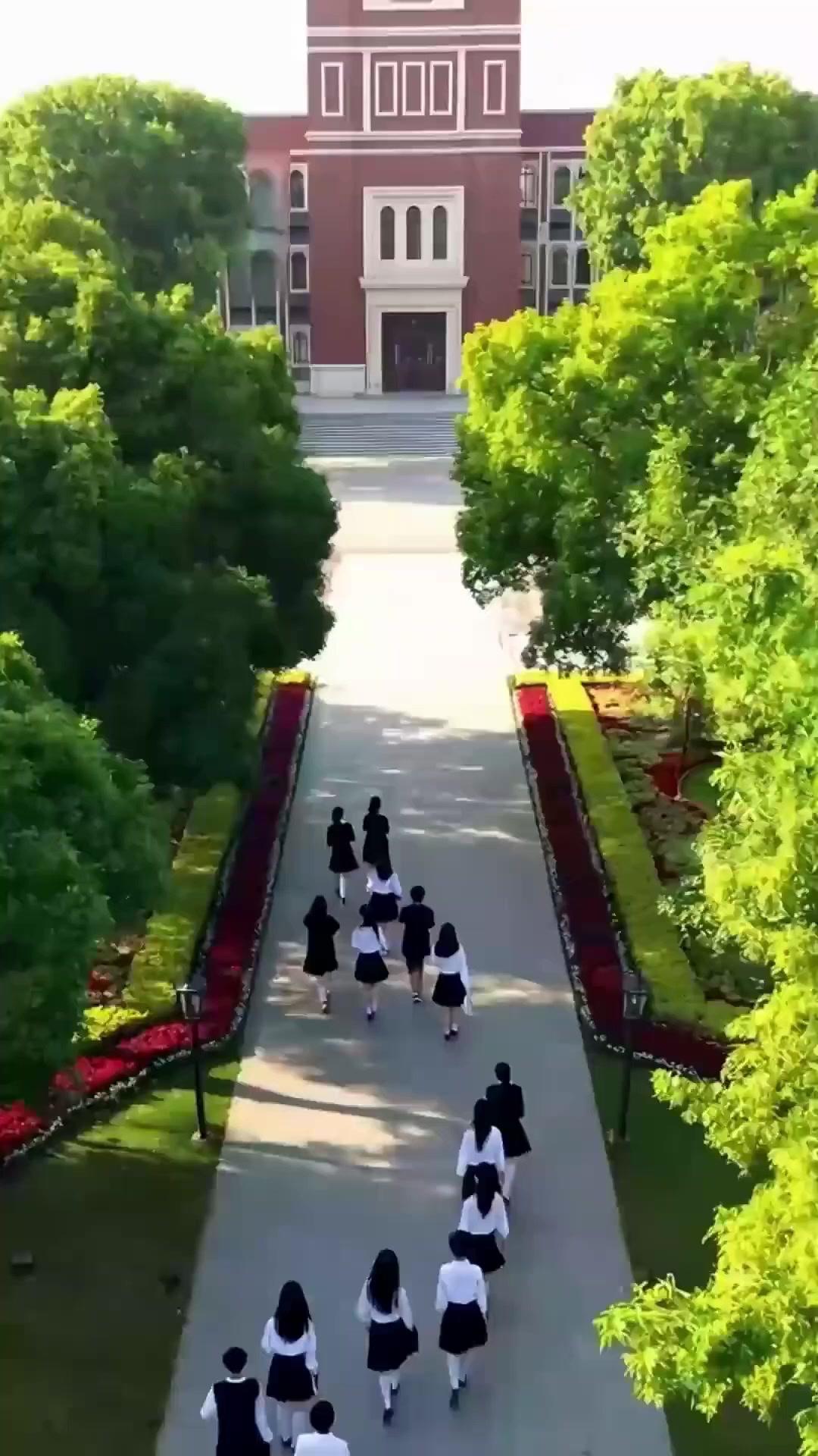 لعنة الحب المزيف