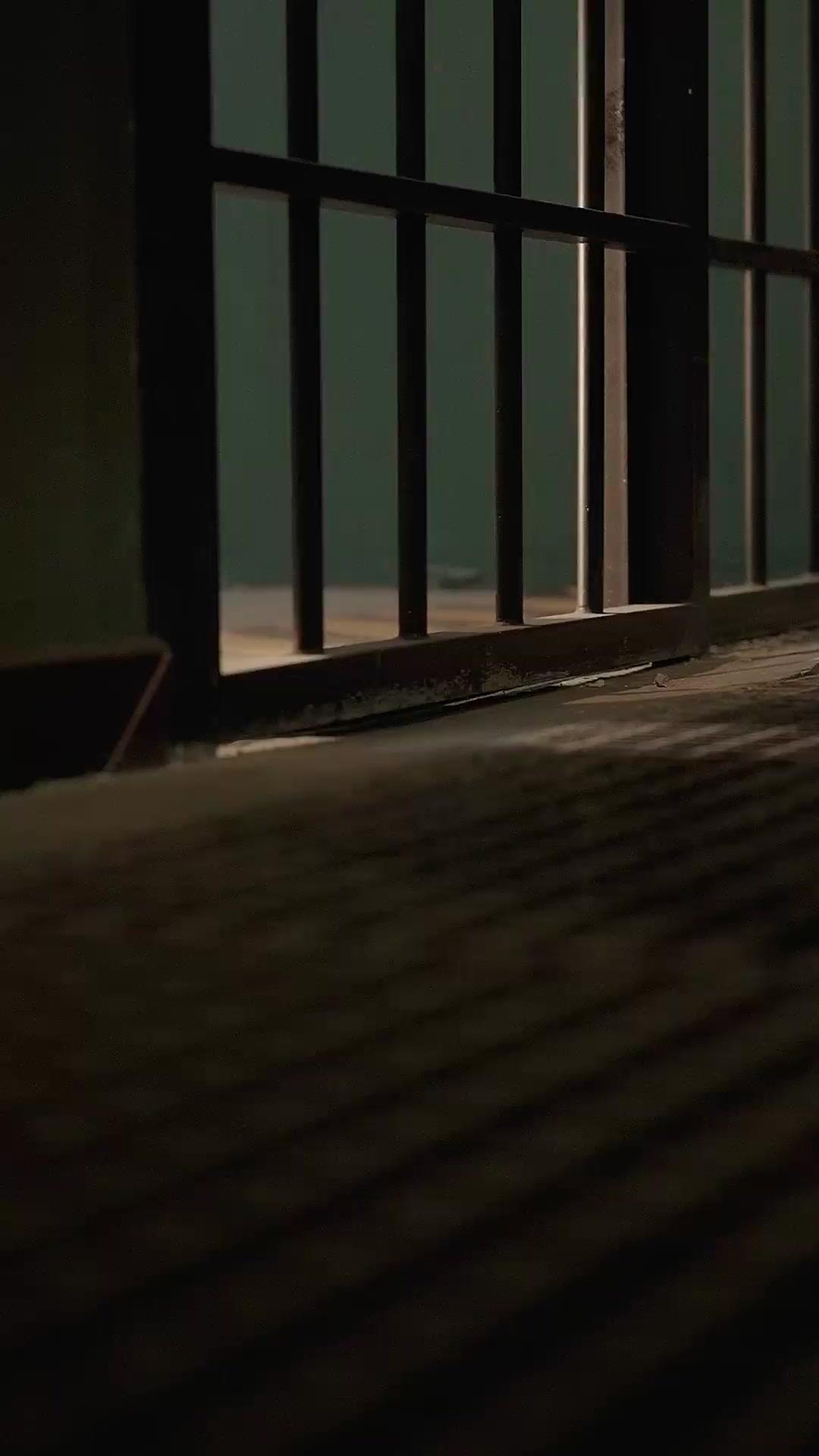 Saksağan Yuvasına Döndü