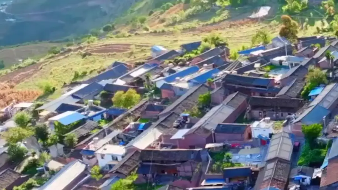 Veggie Husby Woke Up A Billionaire: When the Groom Sleeps and the Real Game Begins