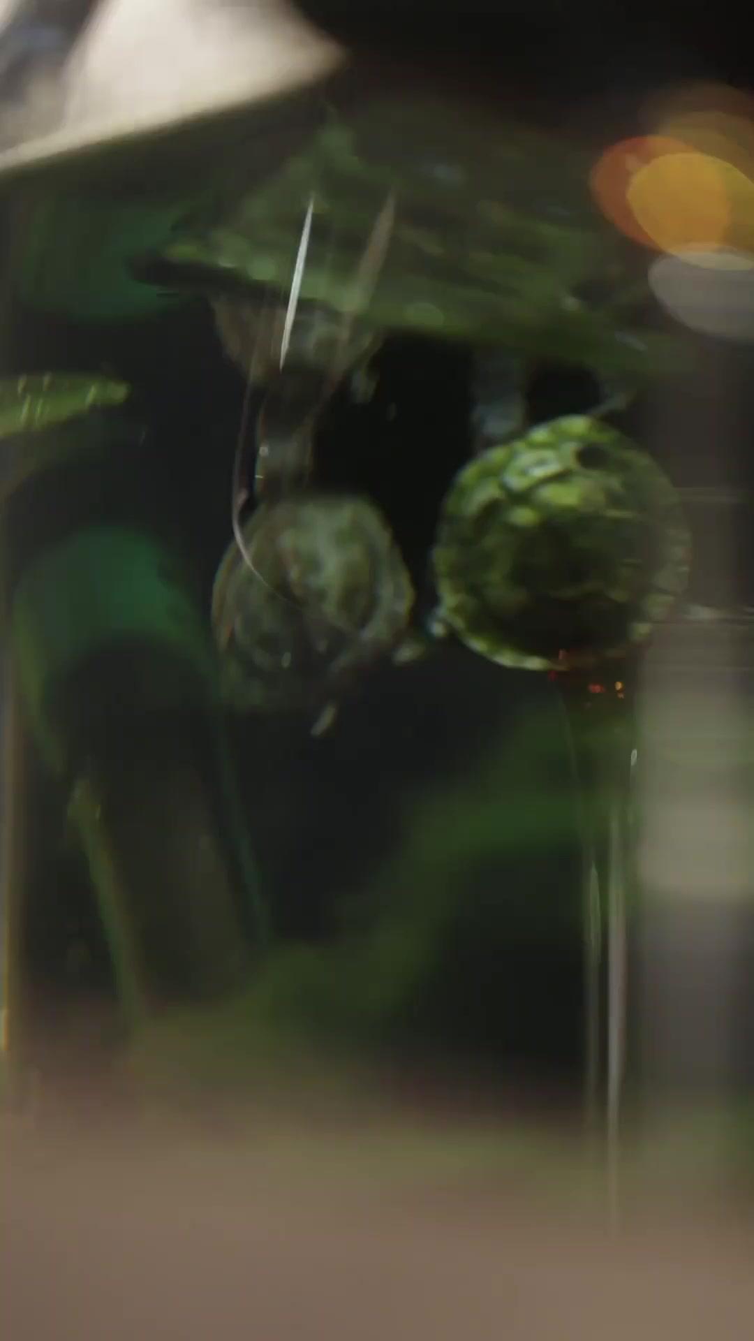 지더라도, 너의 곁에