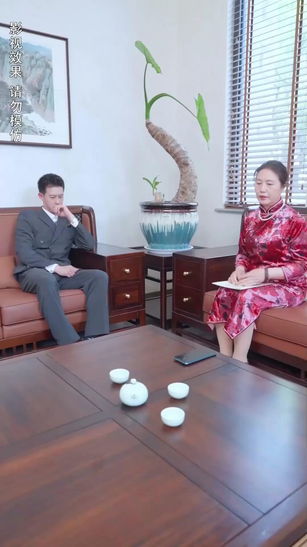 The Beloved Substitute Bride