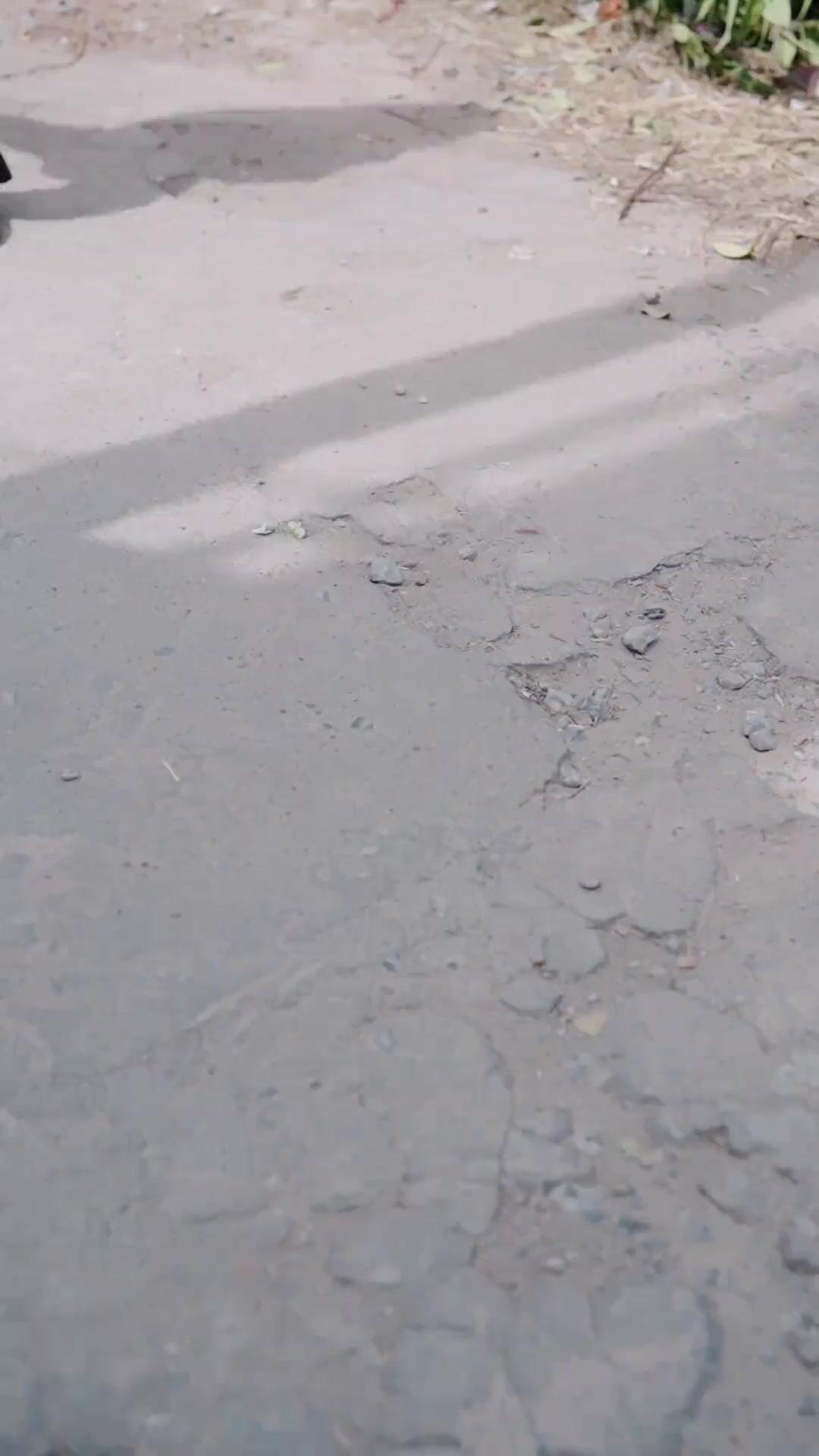 급식 아빠의 비밀