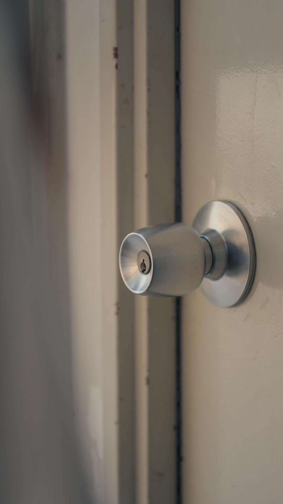 Sakura Beneath the Shrine