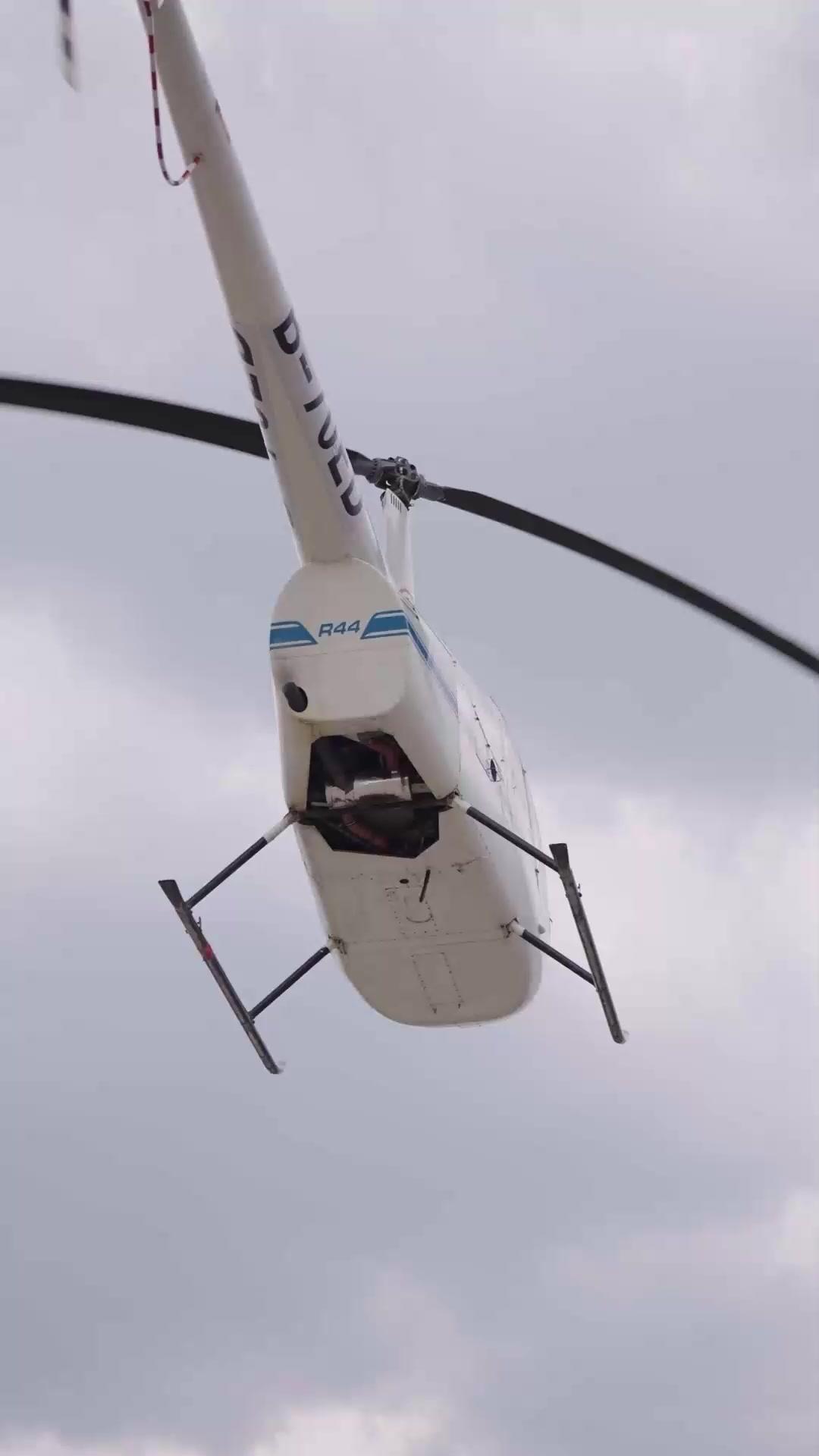 Guarding the Dragon Vein