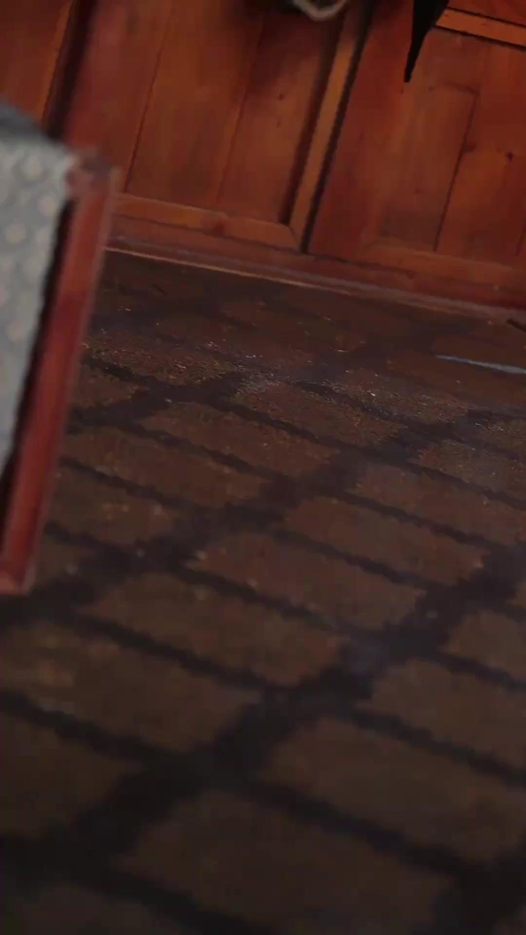 (더빙) 천하의 난봉꾼