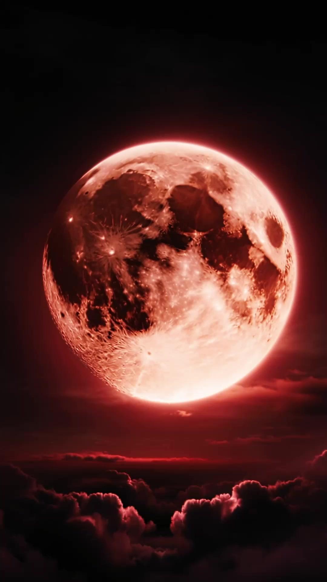 末世契約：我的屍王男友