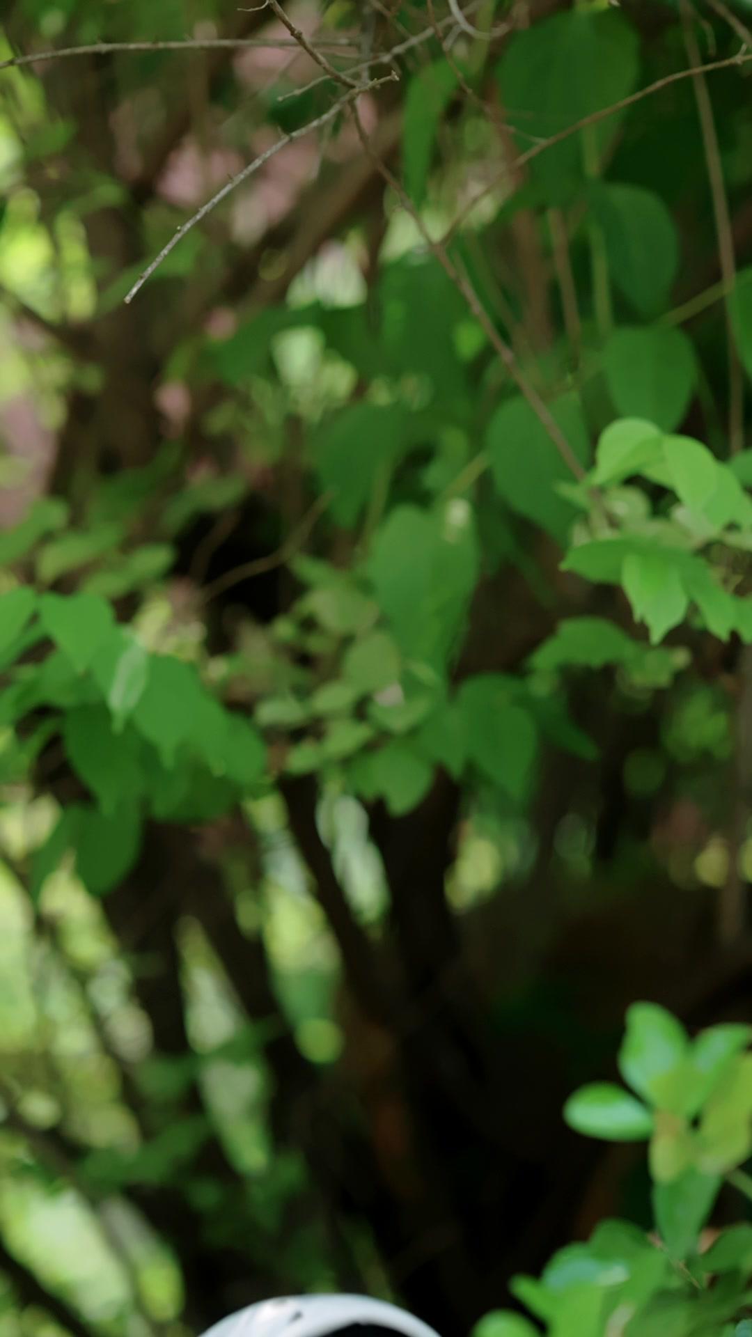 Kutukan Pengantin Pertama