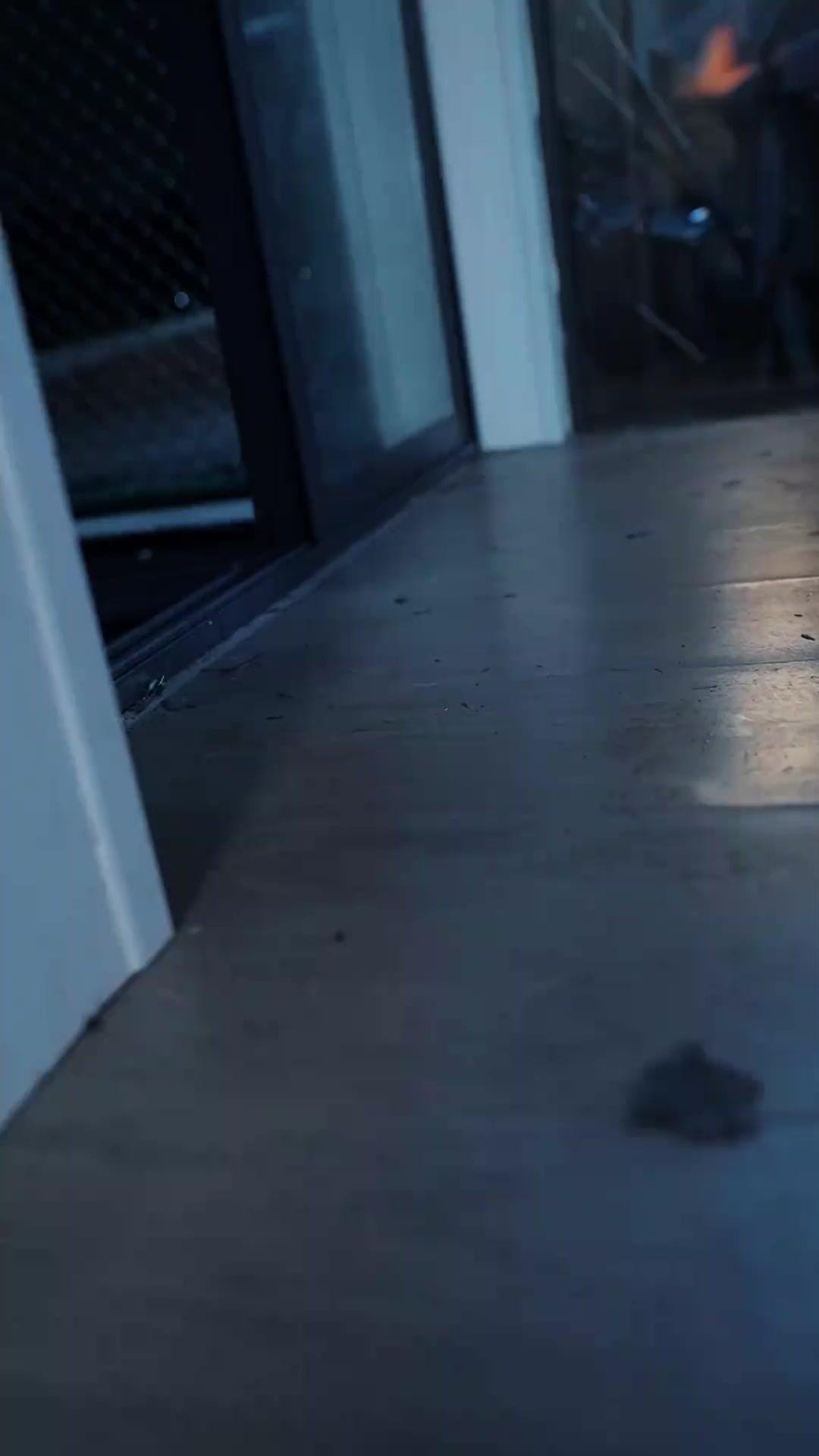 What? Racing Ace Is A TRUCK Guy!