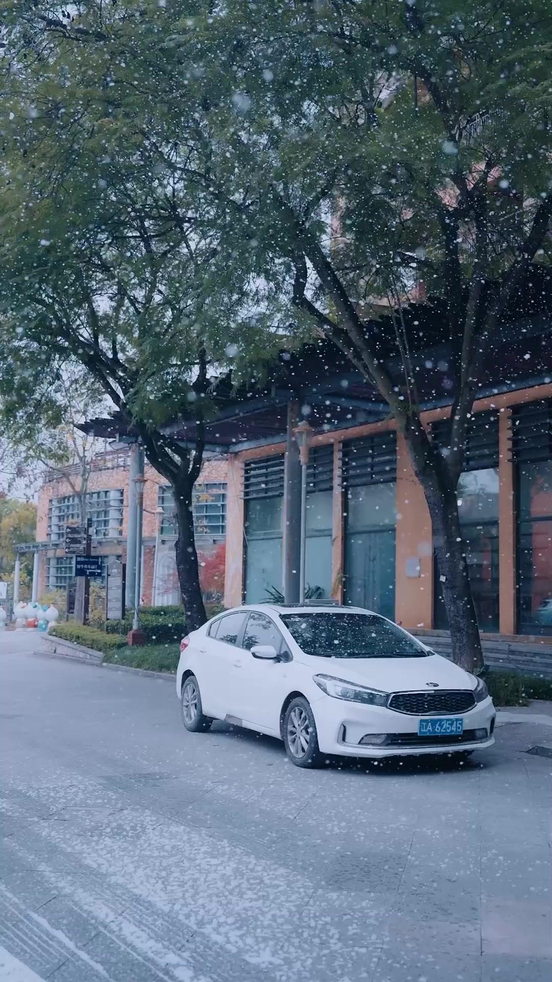 寒流中的超級媽咪