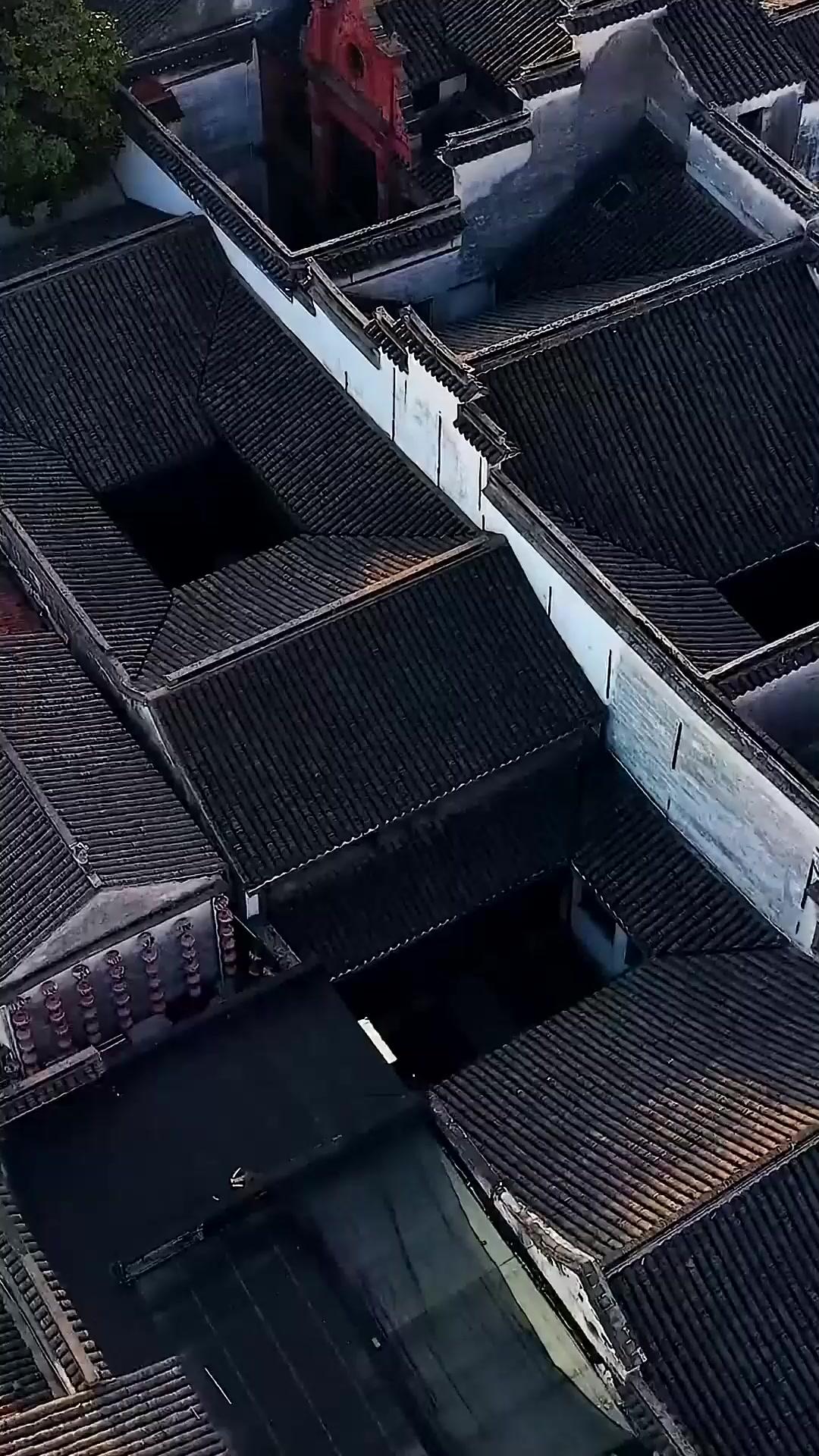 Rivolta dell'Emarginato