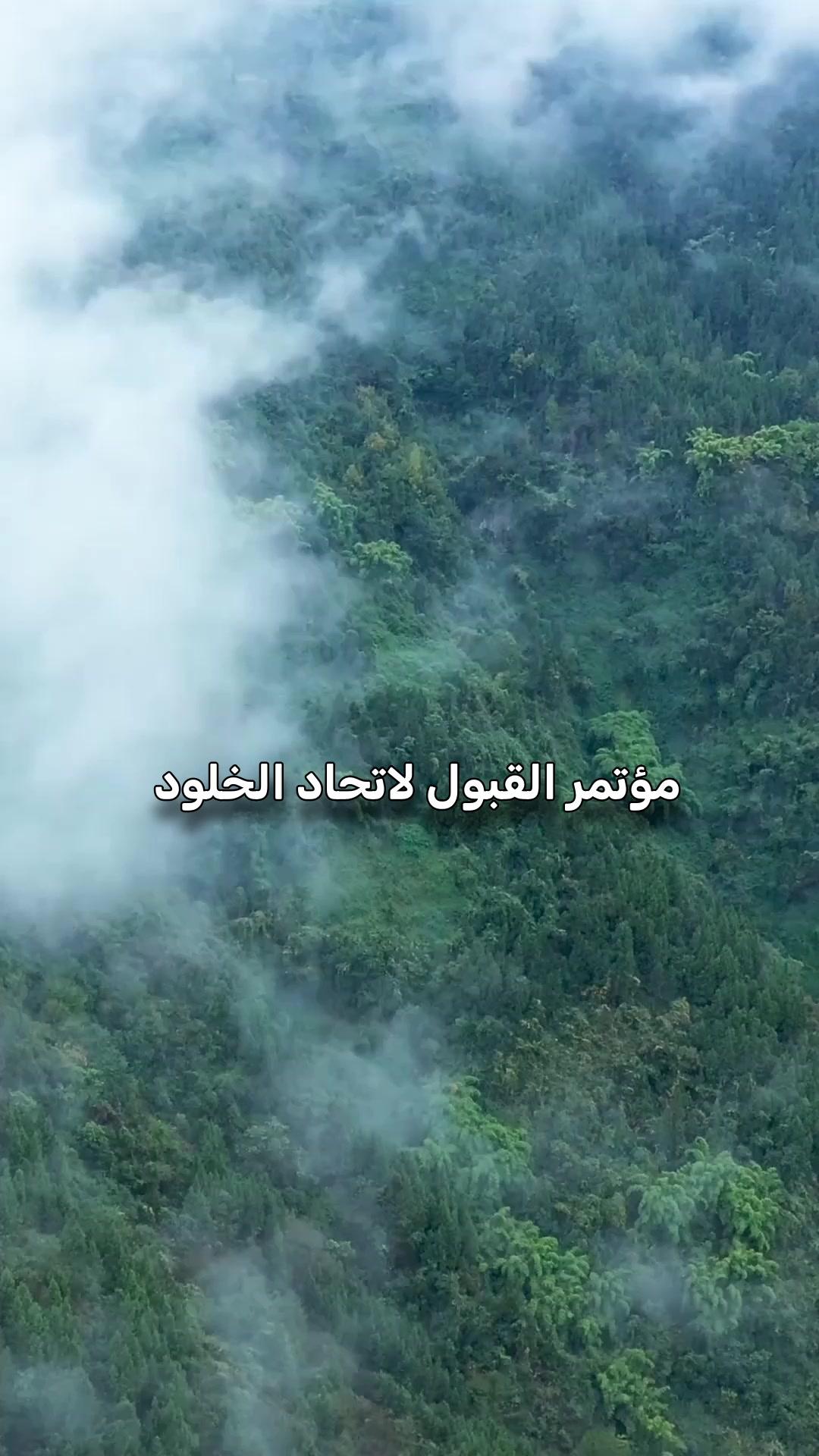 ملك المبتدئين الذي هزم الجبابرة(مدبلج)