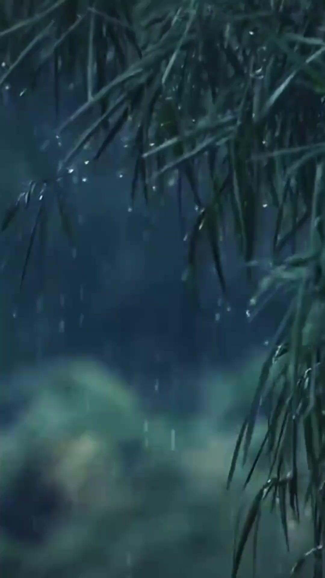 เทวดาหมอคืนชีพ