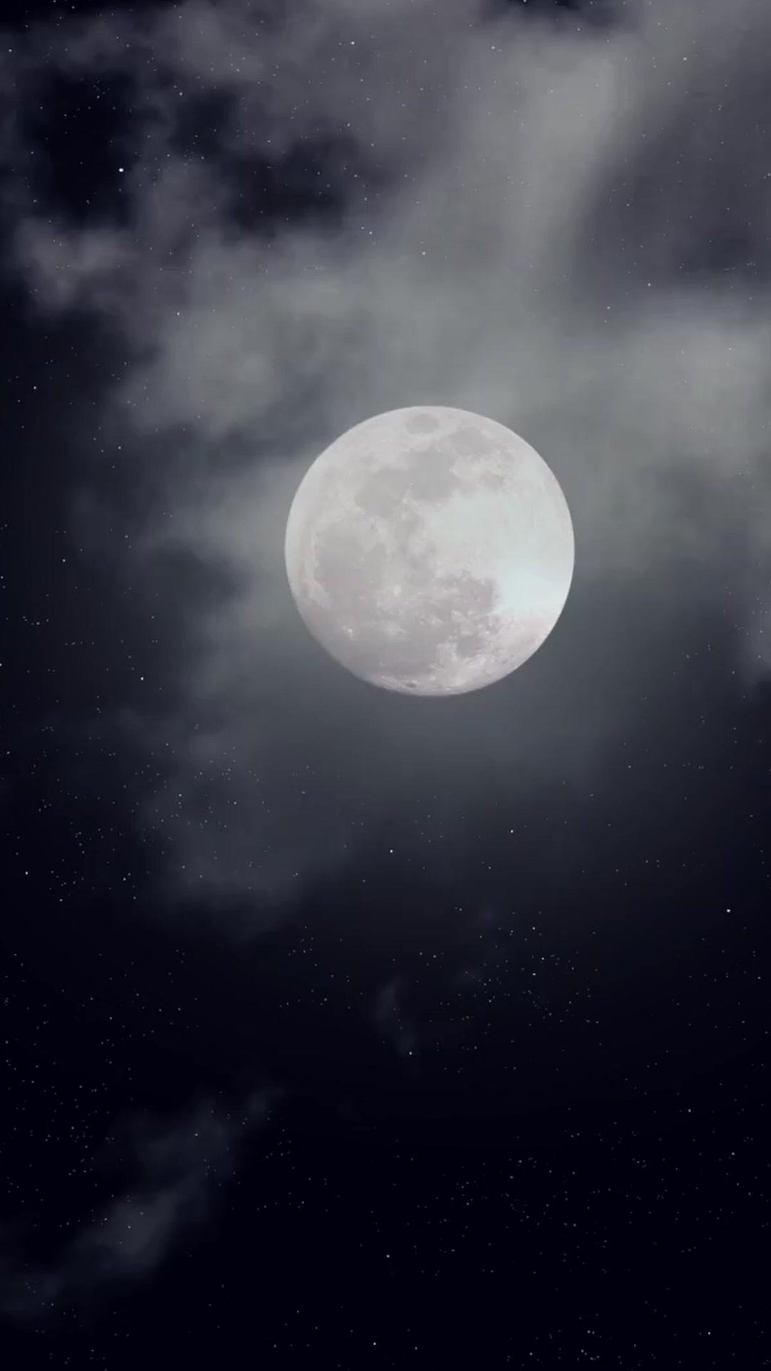 Kisses from My Wild Hunter