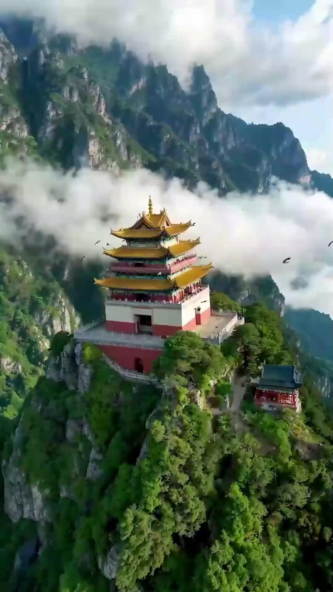 하산한 제자, 무림을 제패하다