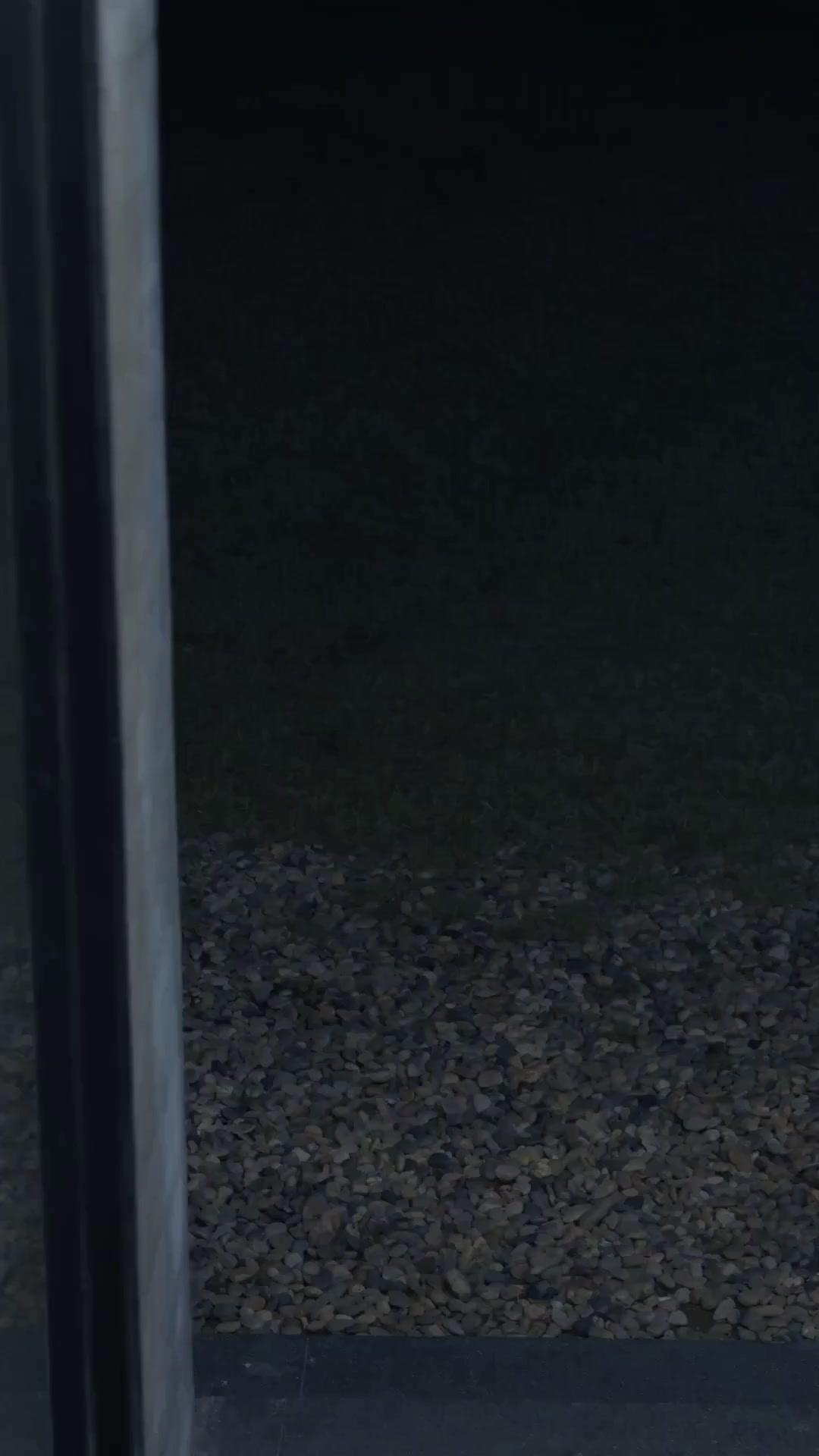 (Doublage) L'ART DE LA CONQUÊTE