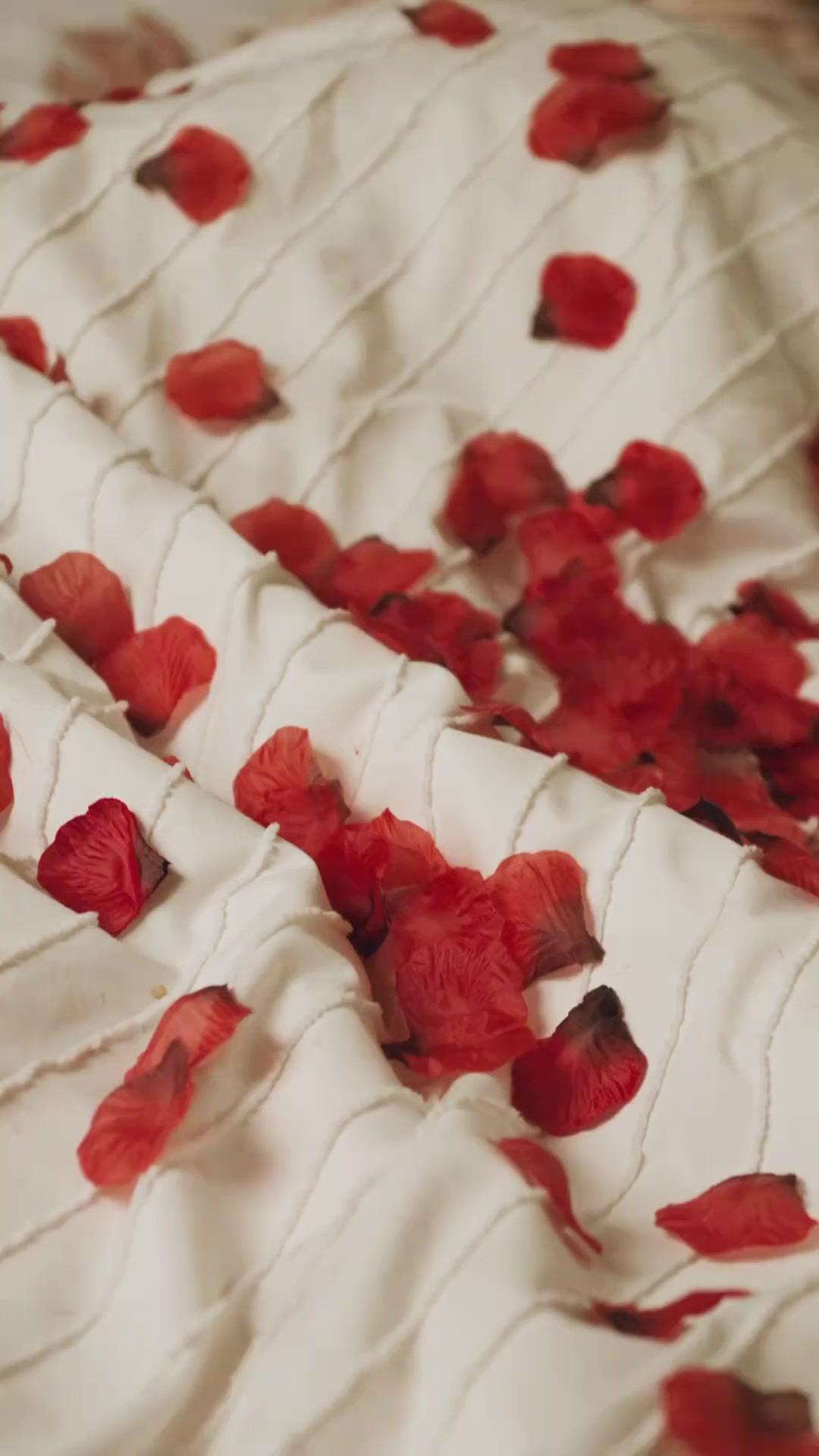 भागा हुआ अरबपति बना मेरा दूल्हा