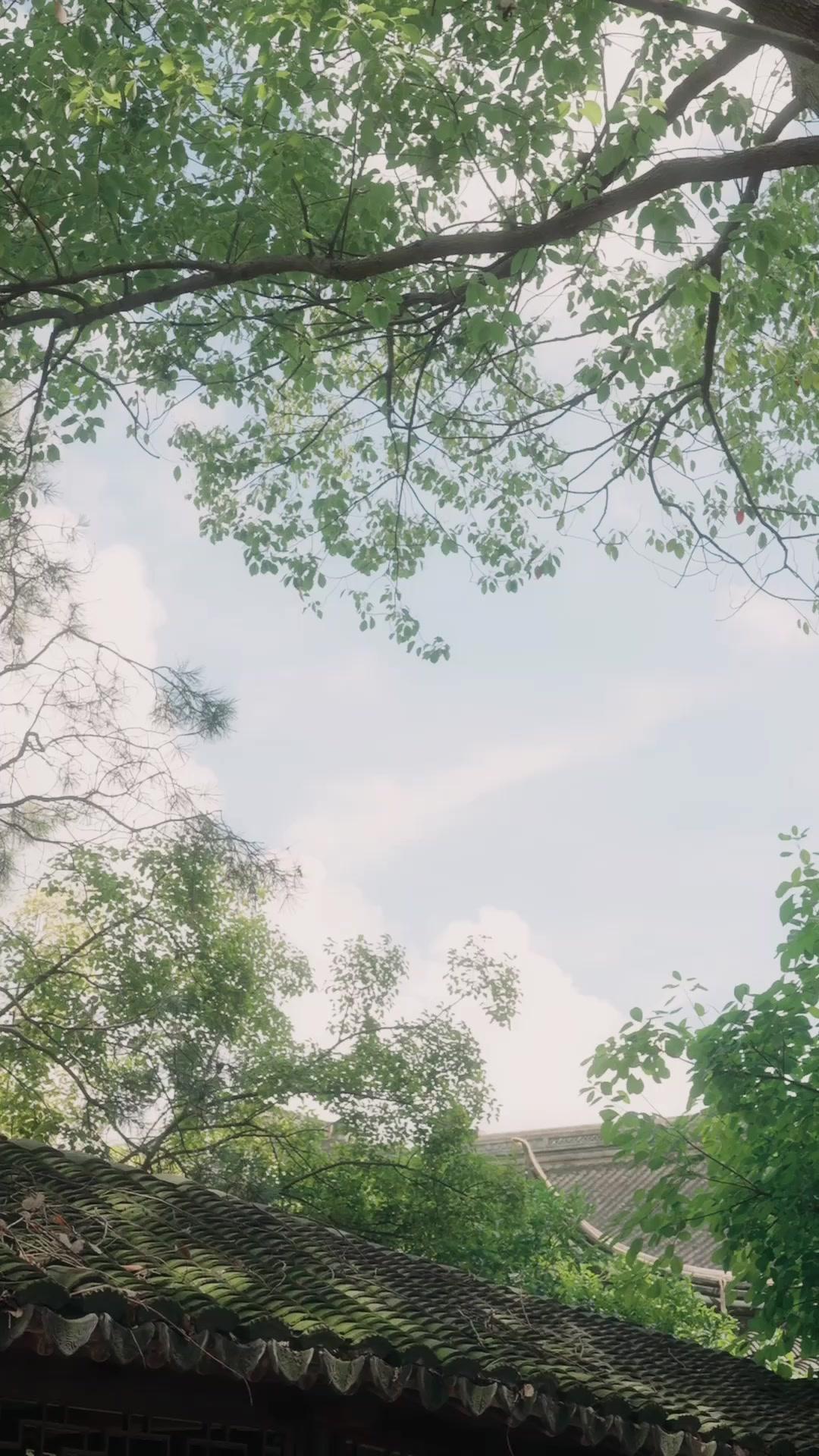 退婚後，我成了叔叔的新娘