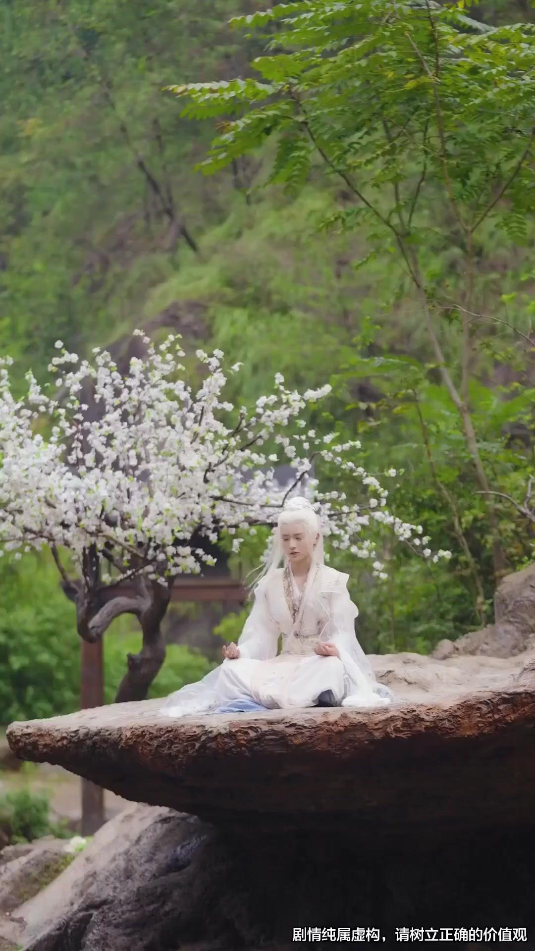 (Dubbed)Rise from the Ashes