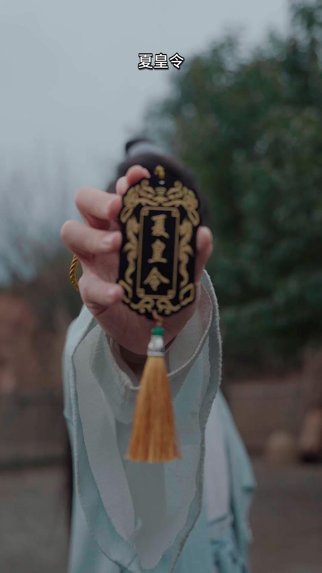 武道最強だから、聖人なんてやめだ！