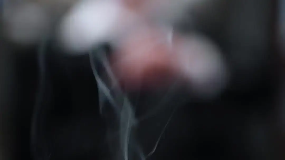 Like It The Bossy Way: When Fruit Trays Speak Louder Than Words