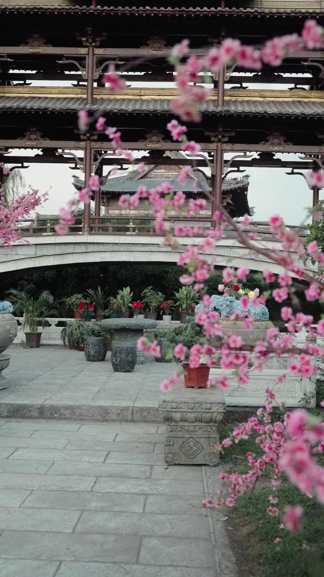 Your Majesty… I’m Just a Courtesan!