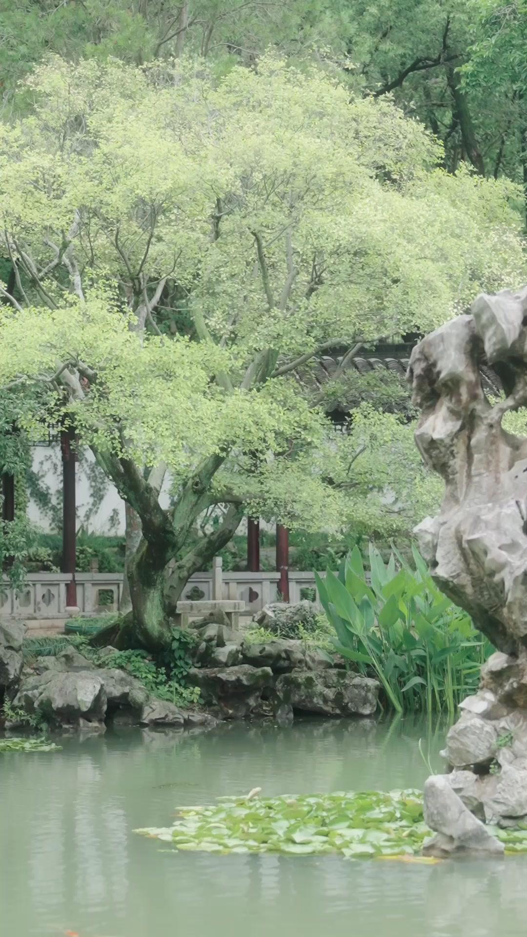 Kaderin Yazdığı Evlilik