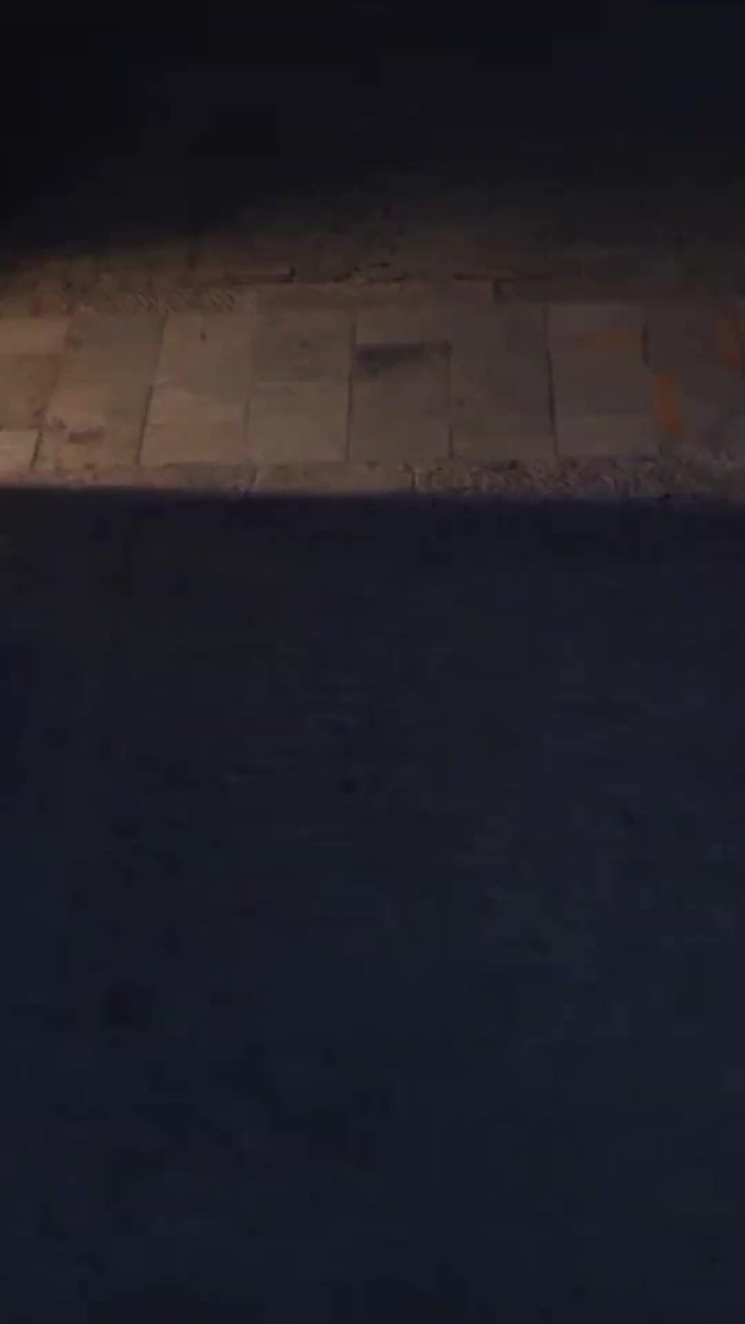 Ölümsüzler Köşkü’nde Büyük Curcuna