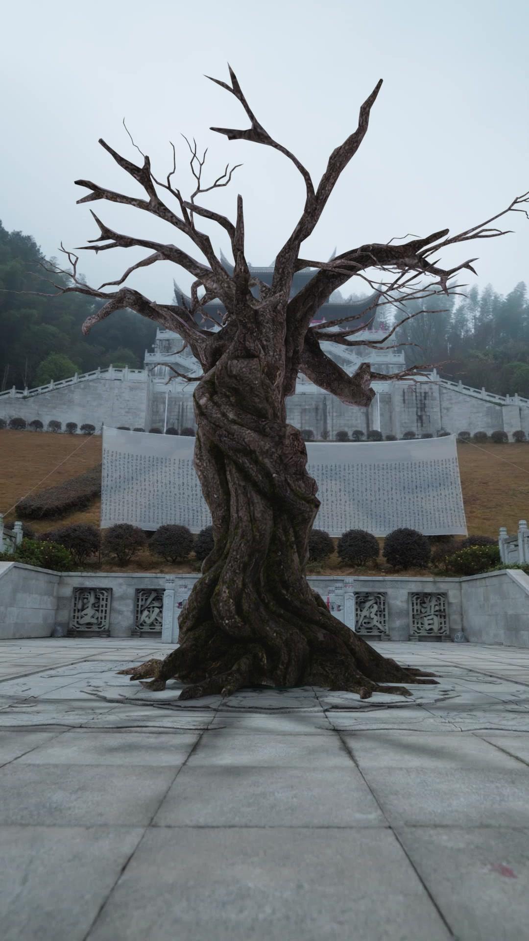 我以神軀許妳一世