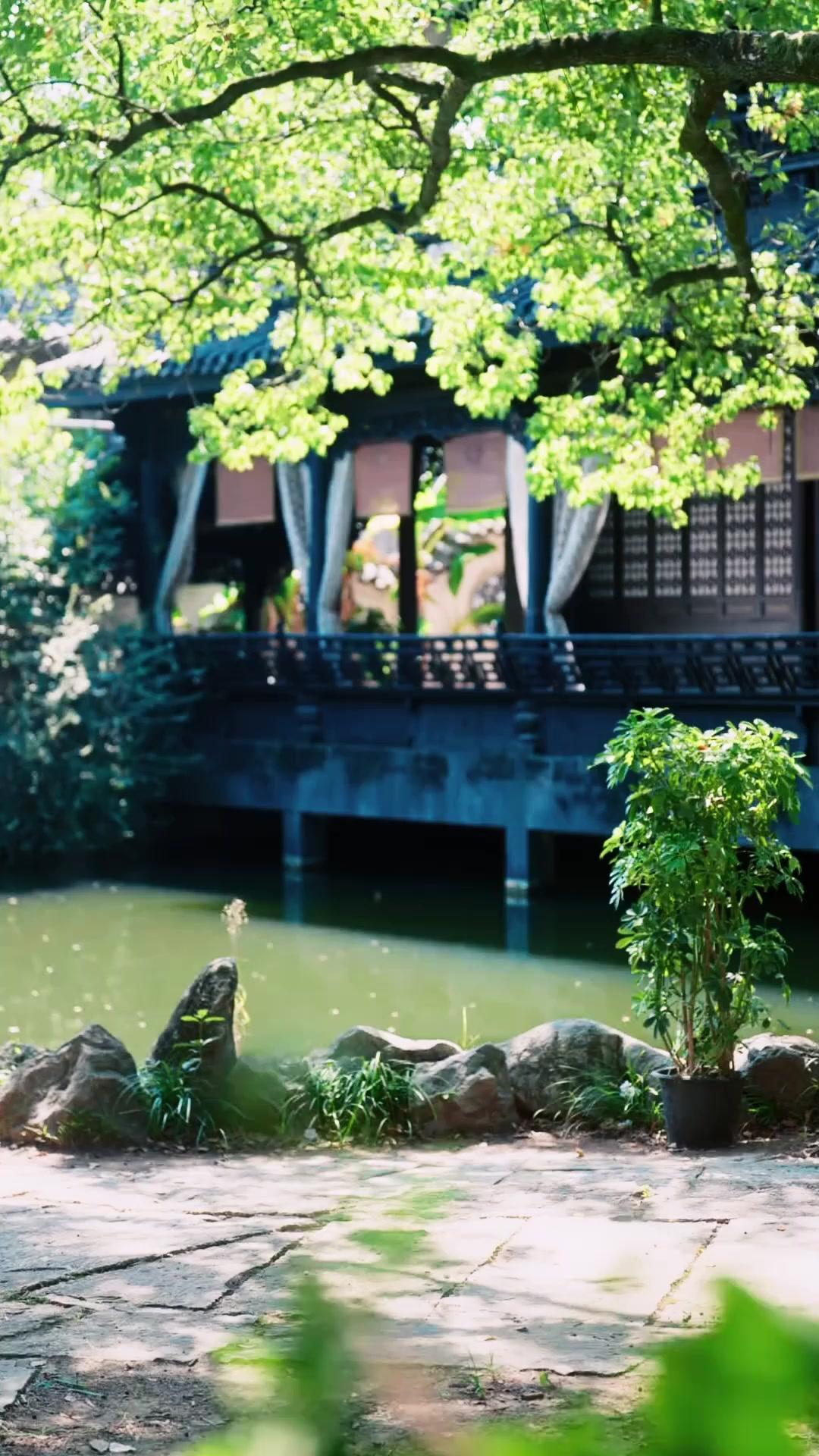 내 망부와 닮은 얼굴