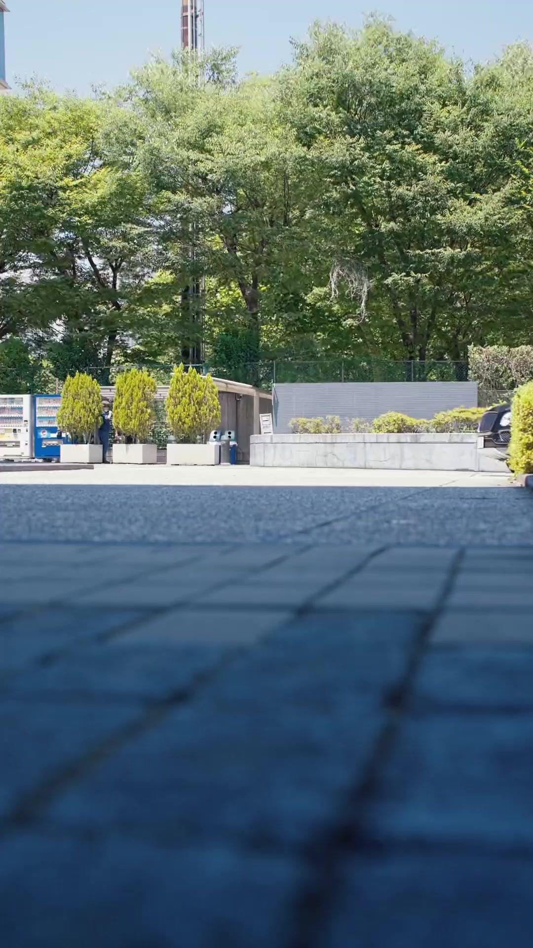 잠든 여동생, 후회하는 오빠들