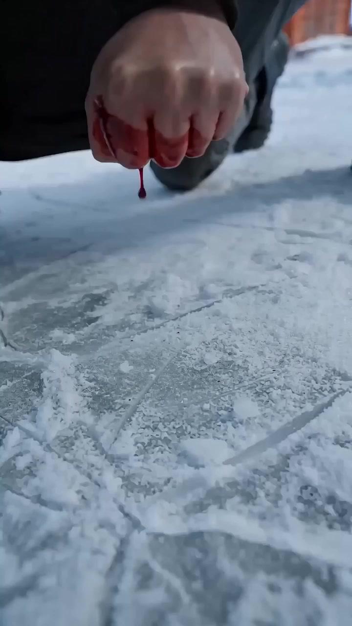 Set Me Up? Get Eaten Instead!