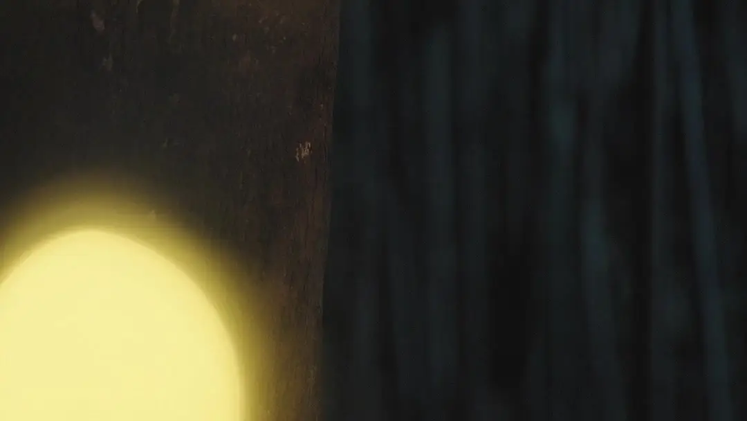 Love in Ashes: When Firelight Reveals What Daylight Hides